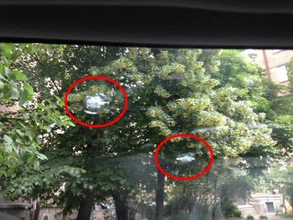 У Києві невідомий влаштував стрілянину по автомобілях. ФОТО