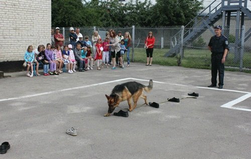 Школярів Луцька познайомили з чотирилапими «міліціонерами»