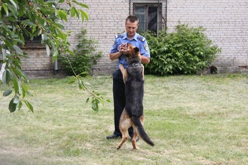 Школярів Луцька познайомили з чотирилапими «міліціонерами»