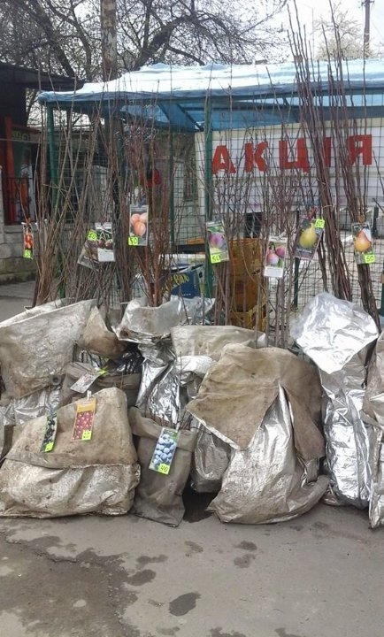 Луцькі муніципали ловили незаконних торговців. ФОТО