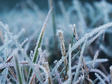 Волинян попереджають про сильні заморозки 