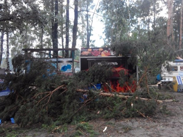 З'явилося відео наслідків буревію у Шацькому районі. ФОТО. ВІДЕО