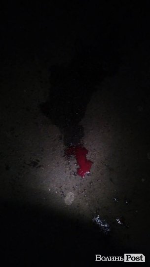 У Луцьку - нічні постріли на Вишкові