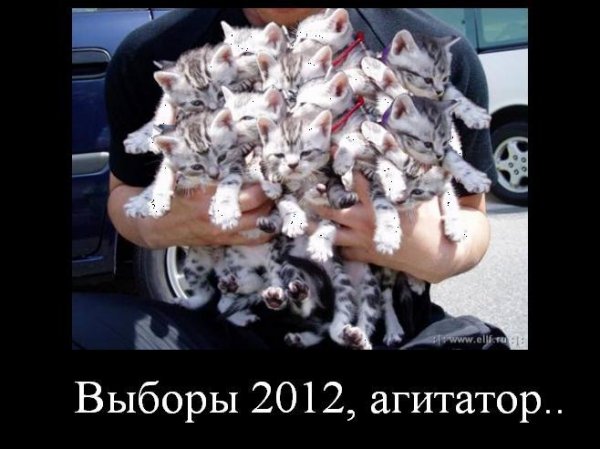 Бабуся і кіт: фотожабоманія триває. ФОТО