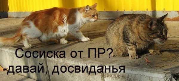 Бабуся і кіт: фотожабоманія триває. ФОТО