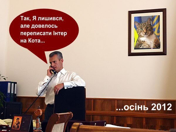 Бабуся і кіт: фотожабоманія триває. ФОТО