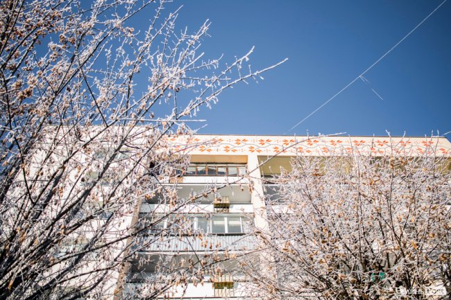 Луцьк – у кришталевій паморозі: казкові світлини різдвяного ранку. ФОТО