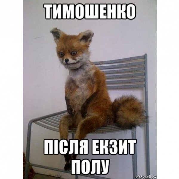 Соцмережі вибухнули фотожабами про вибори