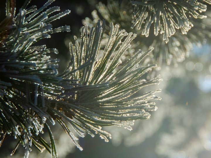 Від снігу з дощем до +10: на Волинь іде потепління