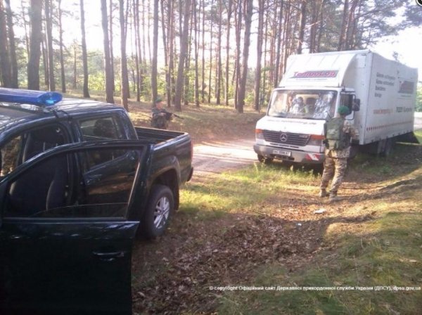 Через кордон на Волині намагались незаконно переправити коней. ФОТО