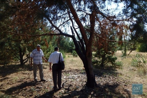 На Волині вшанували пам'ять 25 тисяч розстріляних євреїв. ФОТО