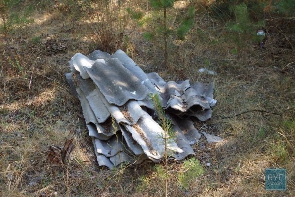 На Волині вшанували пам'ять 25 тисяч розстріляних євреїв. ФОТО