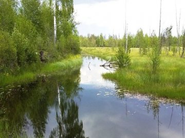 На Рівненщині створять заповідник площею 24 тисячі гектарів