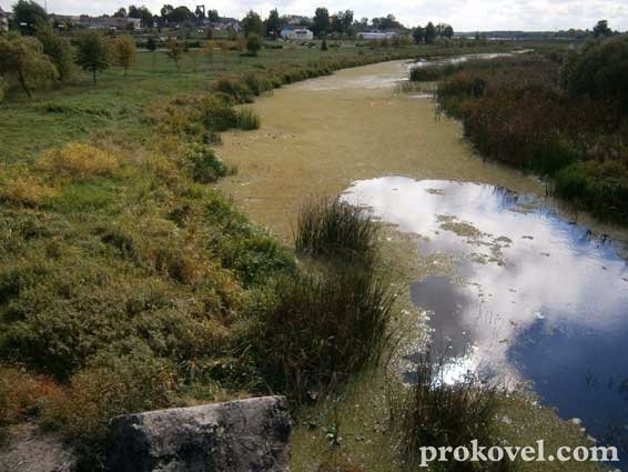 У Ковелі «помирає» річка Турія. ФОТО. ВІДЕО