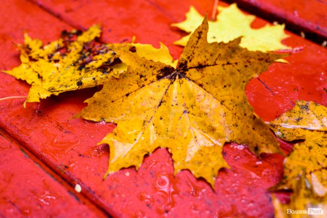 Місто, оповите легким серпанком туману: осінній Луцьк у фото 