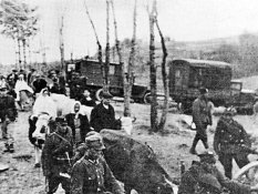 Волинь 11 липня: два погляди. ФОТО