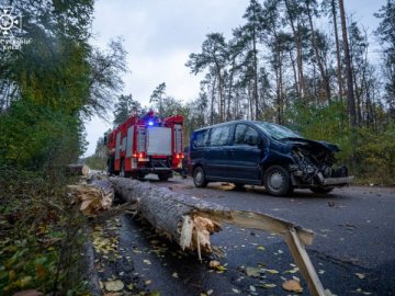 У Києві через ураганний вітер загинули дві людини, ще одна жертва – в області