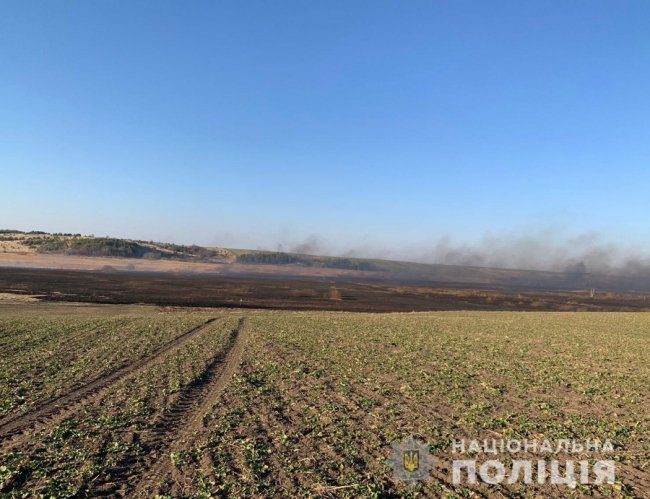 Затримали волинянина, через якого згоріли понад 100 га полів