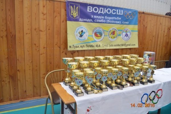 У Луцьку відбувся ХІV Всеукраїнський турнір з дзюдо. ФОТО