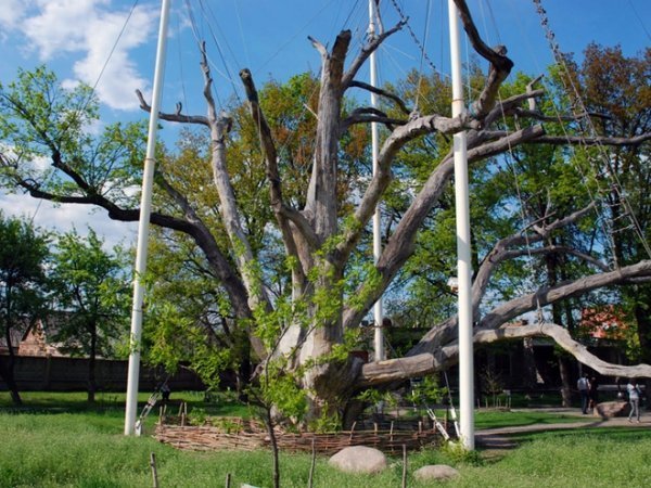 Запоріжжя: колиска козацтва і символ справжньої мужності. ФОТО