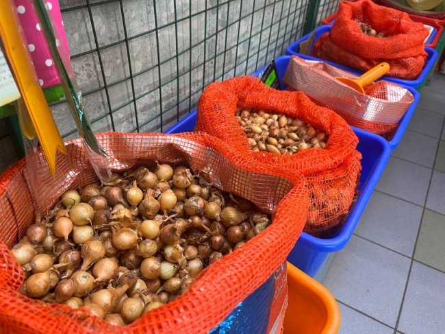 Скоро посівний сезон: яке насіння та культури вибирають волиняни. ВІДЕО