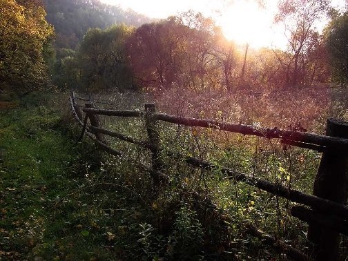 Фотовиставка Сергія Палька