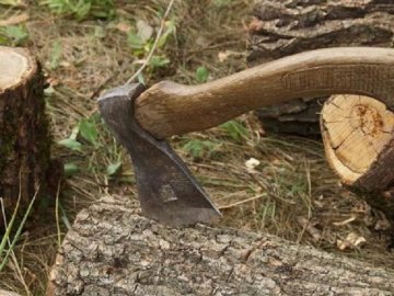 Судитимуть 30-річного волинянина, який незаконно рубав дерева на території Національного парку