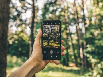 Картинки по запросу картинка "Ліс у смартфоні"