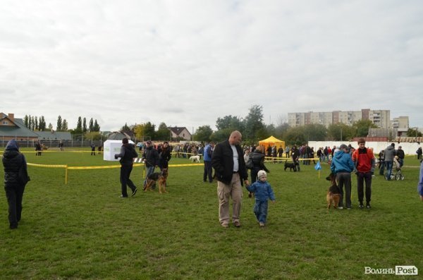У Луцьку – виставка собак. ФОТО