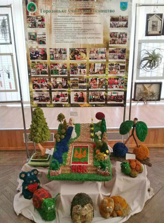 Юні лісівники з Волині представили оригінальну експозицію на всеукраїнському конкурсі. ФОТО