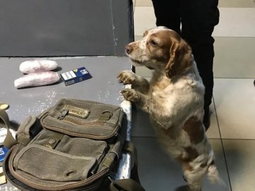 На «Ягодині» у хлопця в спідній білизні знайшли марихуану. ФОТО