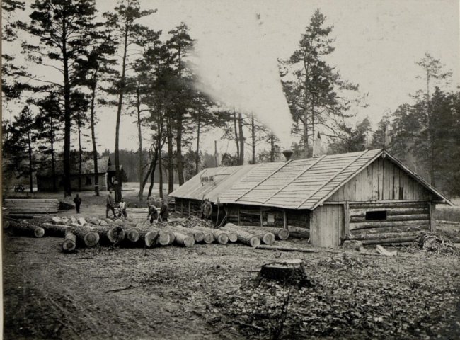 Деревообробне виробництво у Воротневі