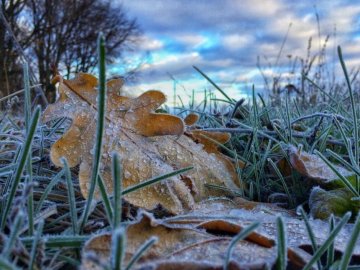 В Україні найближчими днями очікуються заморозки