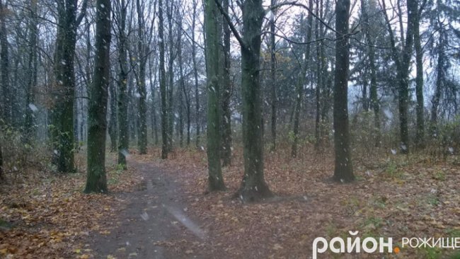 Мокрий і лапатий: на Волині - сніг. ФОТО