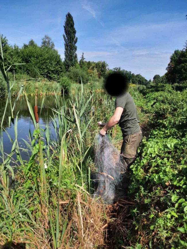 У центральному парку Луцька «на гарячому» зловили браконьєра, який ловив рибу сіткою