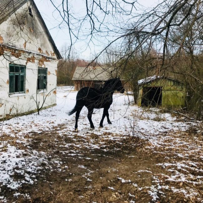 Закинуті хати та сліди скандинавського льодовика: невідома історія Шацького краю .ФОТО