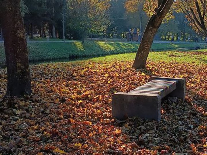 На Волині цього тижня прогнозують мокрий сніг