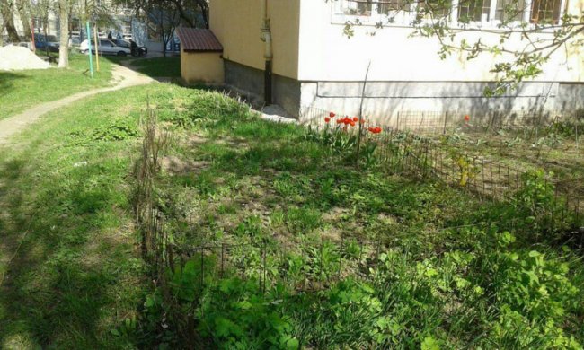 «Страшні огорожі»: луцькі муніципали вкотре знесли паркани