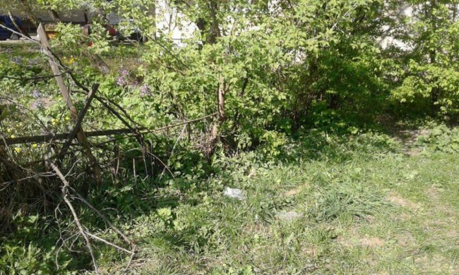«Страшні огорожі»: луцькі муніципали вкотре знесли паркани