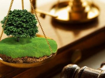 Громада на Волині «успадкувала» землю, вартістю понад 2 мільйони