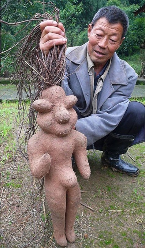 Китайська рунічна квітка