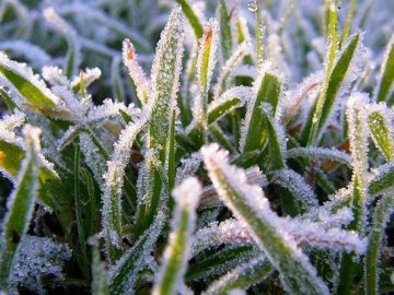 У Луцьку 14 квітня будуть сильні заморозки