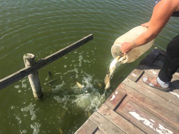 У Луцьку зарибнили річку. ФОТО