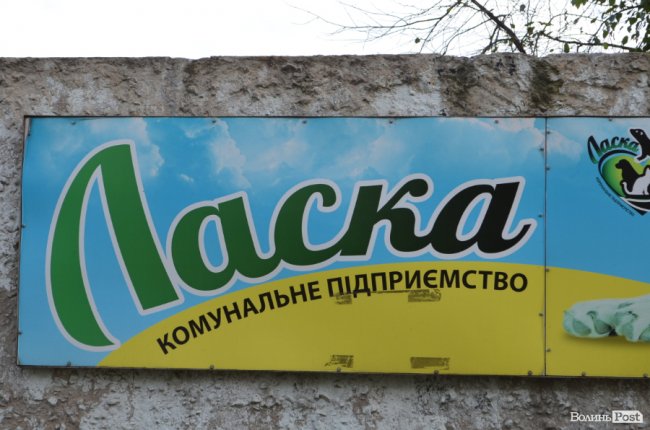 Показали умови, у яких живуть тварини в луцькій «Ласці». ФОТО