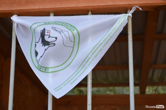 Показали умови, у яких живуть тварини в луцькій «Ласці». ФОТО