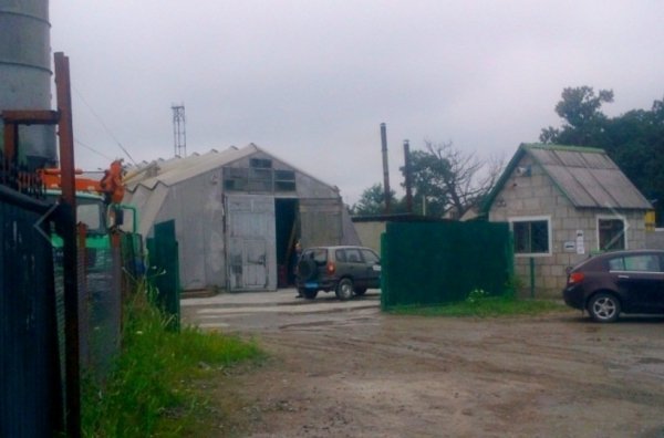 Територія підприємства, де виробляють газоблоки