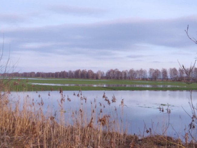 На Волині у воді – понад шість тисяч гектарів угідь та присадибних ділянок. ФОТО