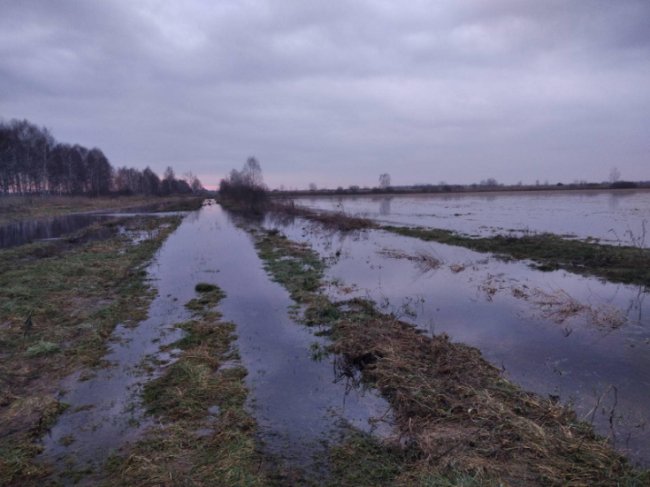 На Волині у воді – понад шість тисяч гектарів угідь та присадибних ділянок. ФОТО