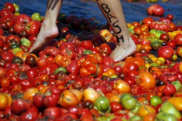 Бої помідорами в США. ФОТО