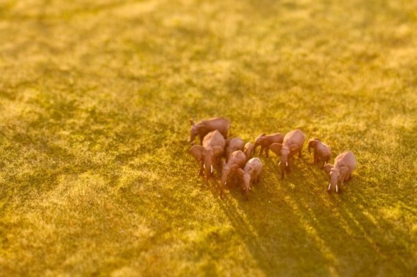 Вражаючі світлини з ефектом Tilt-shift: іграшковий світ, у якому ми живемо. ФОТО